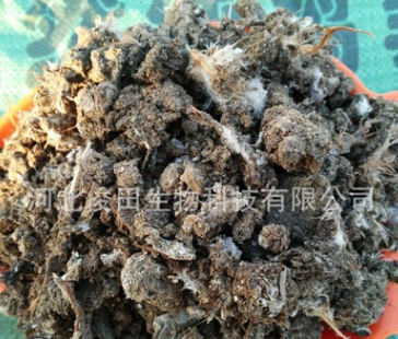 蔬菜水果 食用菌 粮油 花卉苗木 畜牧养殖 茶叶 中草药 肥料种业 农药/原药/杀菌剂 农机农具 渔业 加工机械 金属丝网制品 生态农业 包装印刷_生物肥锄禾日当午饲料肥料锄禾日当午信息锄禾日当午生物肥锄禾日当午饲料肥料锄禾日当午锄禾日当午