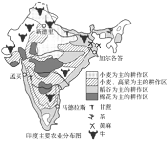 广东省佛山市高明区2019-2020学年七年级下学期地理期末考试试卷解析——畜牧渔业饲料专题